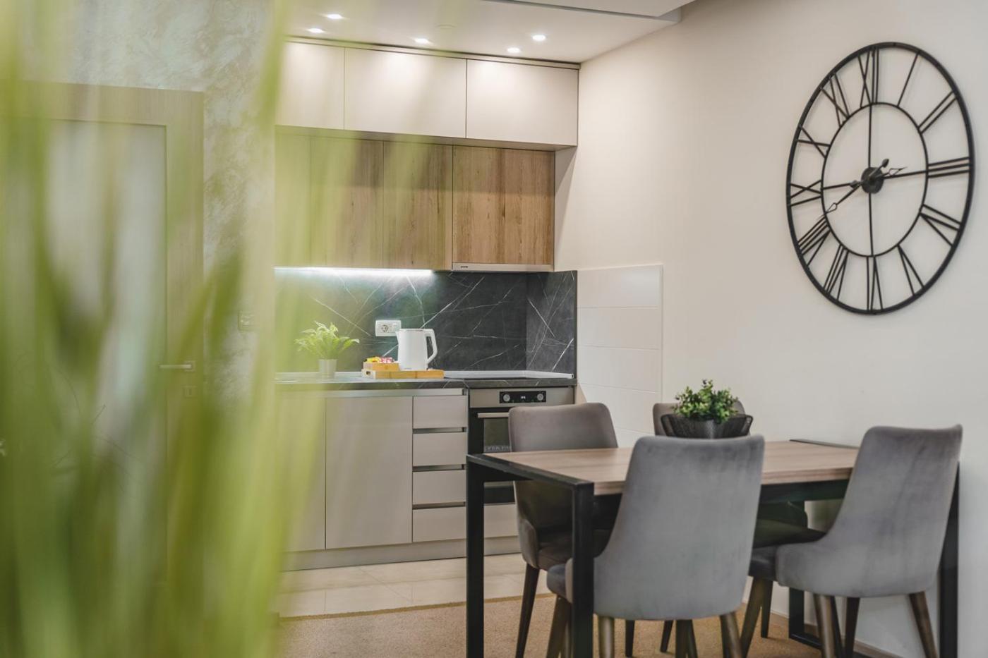Harmony Apartments بودغوريتْسا المظهر الخارجي الصورة